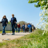 Les Randonnées Pour La Paix - Normandie Tourisme - Julien PICQ (12)